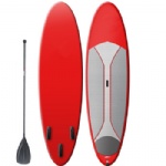 pintail color painting SUP board